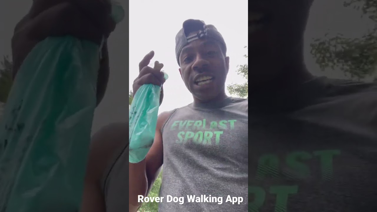 Dee Payne | Rover Dog walking App makes money in short time