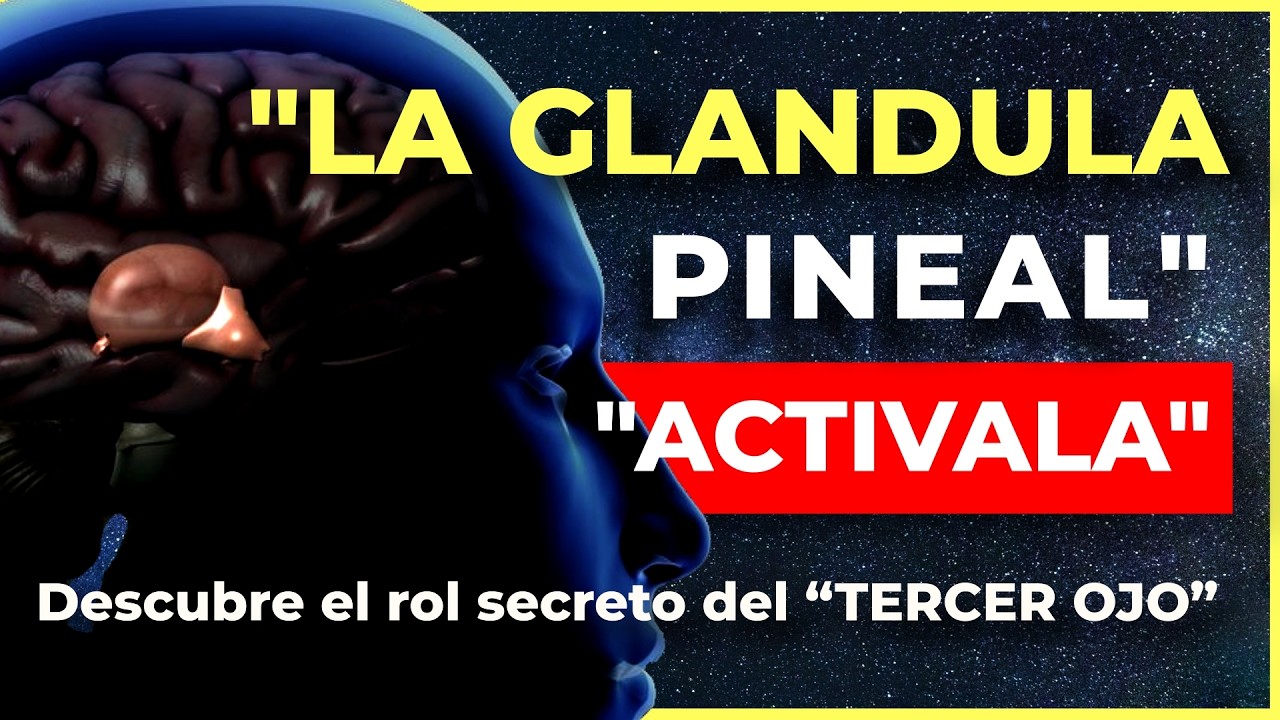 🧠🌀✨ “La Glándula Pineal según Joe Dispenza – Cómo activarla y despertar