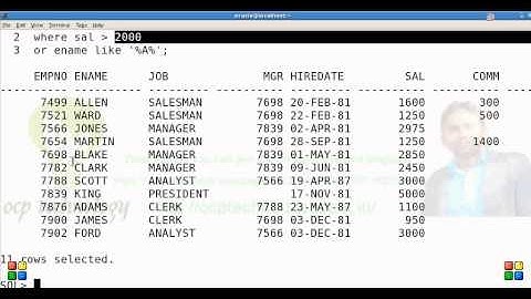 Using logical Operators in SQL in Hindi.