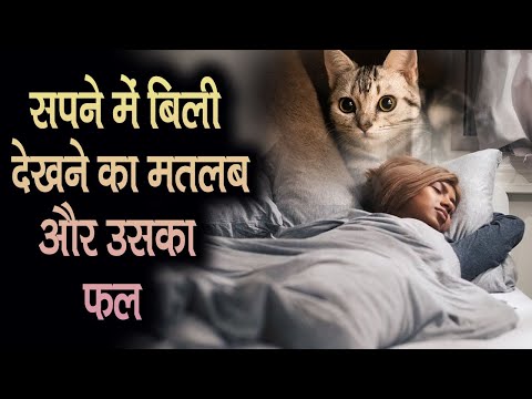 वीडियो: सपने का अर्थ: सपने में बिल्ली देखना