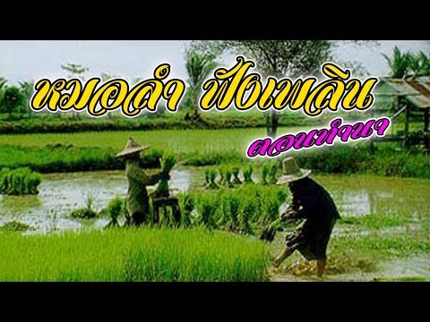 ลูกทุ่งหมอลำฟังเพลิน ตอนทำนา