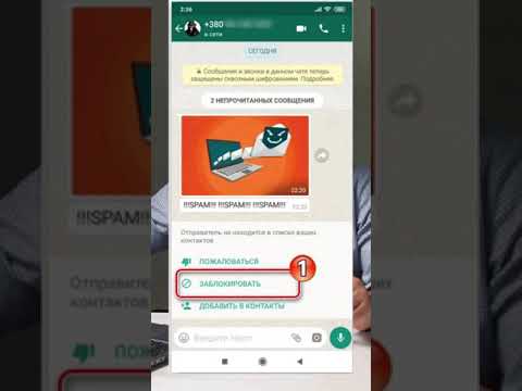 Хотите сделать рассылку в WhatsApp?