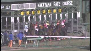 競馬 レース 映像