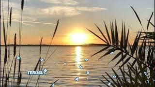 SUPERIOTS - Teruslah Bersinar - Cover : Manda Rose & Maulin ( lirik lagu )