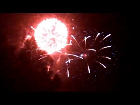Año Nuevo Machali 2016