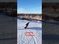 Hover ProMax Top to bottom $50 lift pass #dronelegends #snow #amnewbutnottheleast #canada #realsnow