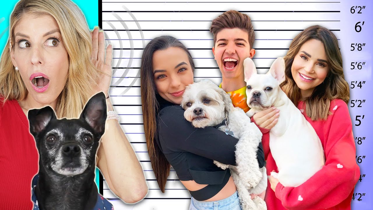 Guessing Youtubers Pets Only Using Their Voices - PawZam Dogs