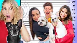 Guessing Youtubers Pets Only Using Their Voices - PawZam Dogs