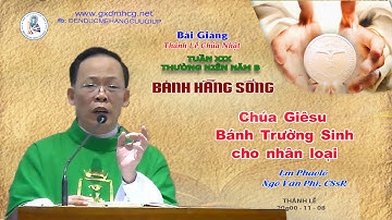 Giảng Lễ CHÚA NHẬT - TUẦN XIX - THƯỜNG NIÊN - NĂM B - 20g00 - 11/08/2024 Lm Phaolô NGÔ VĂN PHI. CSsR