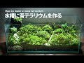 【苔テラリウム】水槽に小さな緑を作る　Moss Terrarium