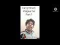 Yalgaar ho part 1 carryminati carryislive