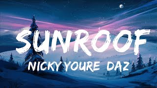 Nicky Youre, dazy - Sunroof (Lyrics) |25min