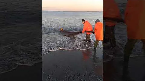 Quando si possono pescare i bianchetti?