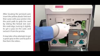 Matica how To? Step 3: Clearing an Error on Your XID8300 Printer