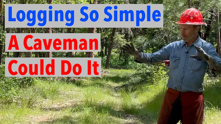 Simple Inexpensive Log & Firewood Harvesting System