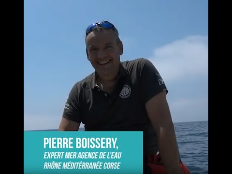 AGENCE DE L'EAU - Interview de Pierre Boissery pour EFGL