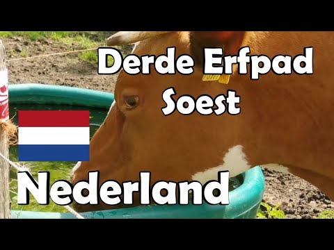 NEDERLAND Klompenpad Derde Erfpad in Soest 9 km
