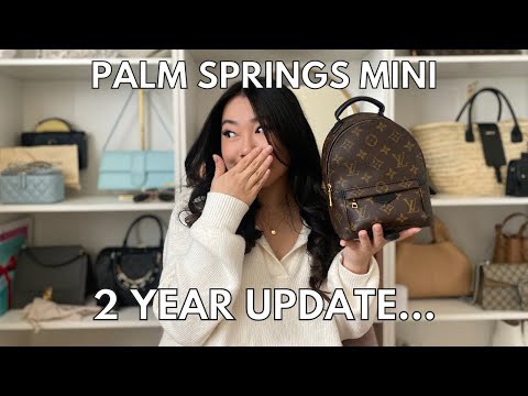 Unexpectedly found Palm Springs Mini in Dallas store : r/Louisvuitton
