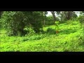 Husunul jamalinte Song Album Jumailath Mappilappattu
