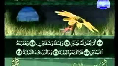 سورة البلد كاملة الشيخ سعد الغامدي