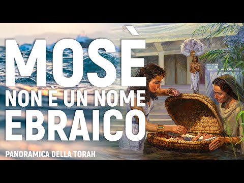 Video: Non è un nome?