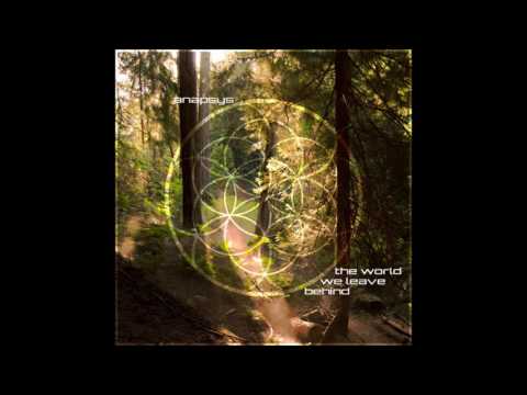 Anapsys - The World We Leave Behind
