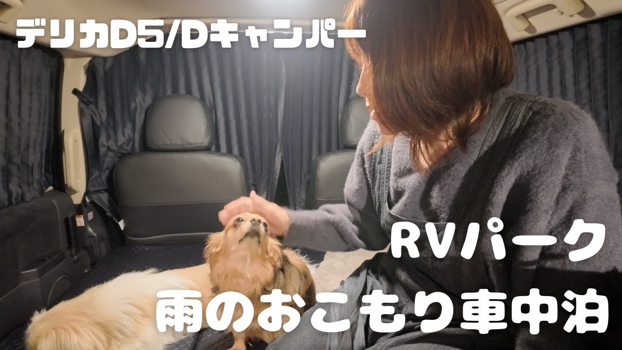 【デリカD5車中泊】RVパークで雨のおこもり車中泊。Dキャンパーで初めてのお泊り【チワックスとペキシーズー】chifuachshund&pekishihzu