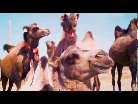 Веселая жизнь (2015) - Документальное кино о путешествии в Крым