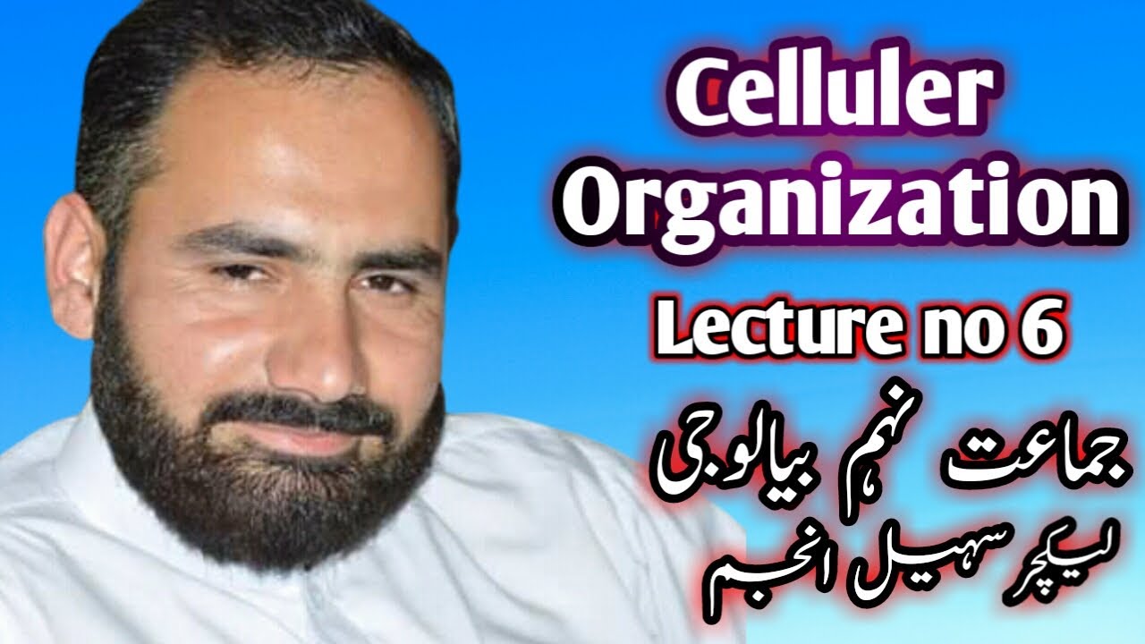 Biology 9th, C#1 Part 6, Cellular Organization