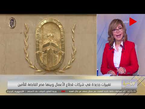 استقالة باسل الحيني رئيس مصر للتأمين لميس مصرفي متميز حول الشركة لأكبر مؤسسة مالية غير مصرفية