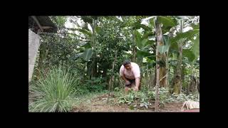 NSTP 2- CWTS | VEGETABLE GRADENING
