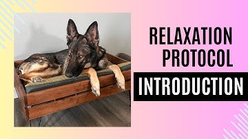 Introduction to the Relaxation Protocol by Dr. Karen Overall