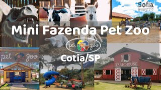 Mini Fazenda Pet Zoo