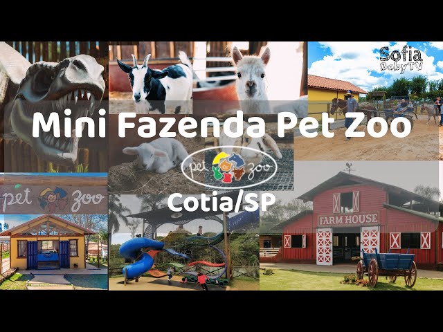 Mini Fazenda Brasil