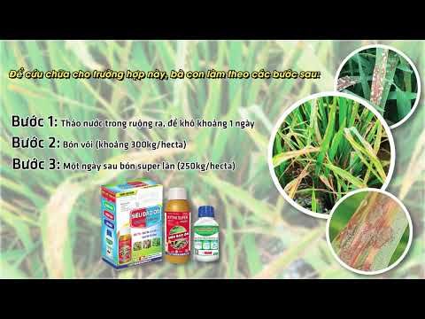Cách nhận biết