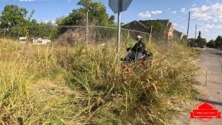 This SIDEWALK Was IMPOSSIBLE To WALK On From How OVERGROWN It Was