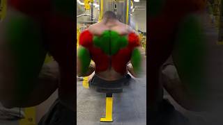 Seated Cable Row Form Tips For Maximum Back Gains