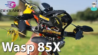 Geelang WASP 85X 2s Toothpick Micro Racer - Review, Setup & Flight Footage