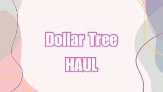 Come See What I Got| Dollar Tree Haul| Amazing Finds| New