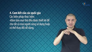 Công ước quốc tế về Quyền của người khuyết tật - Điều 4.6, Cam kết của các quốc gia