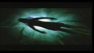 How About A Game Of Catwoman Part 01