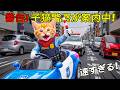 【感動】警察トラにゃん、渋滞の中で妊婦を緊急搬送!命をつないだ勇敢な誘導に涙😭🚓🚑💖
