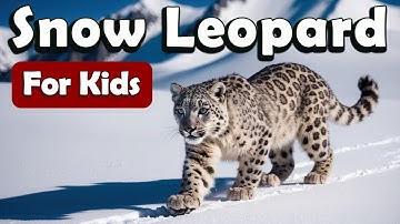 Snow Leopard for Kids | Learn About Animals for Kids