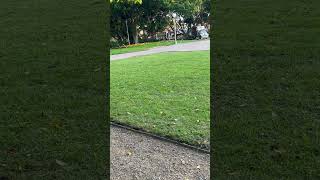 IMG 0142