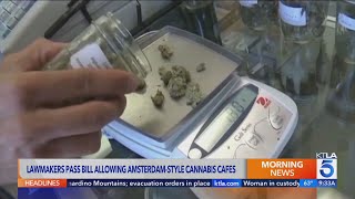 Newsom signs bill legalizing ‘Amsterdam-style’ cannabis cafes