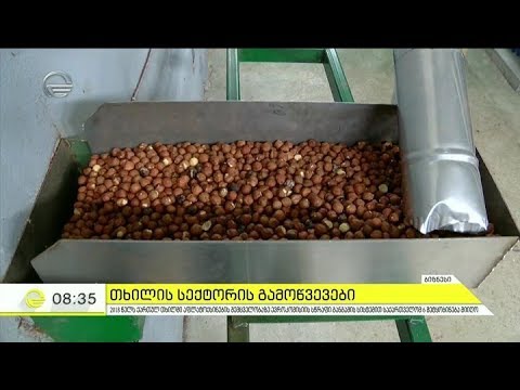 სიცოცხლისთვის სახიფათო ტოქსინები - თხილის სექტორის გამოწვევები