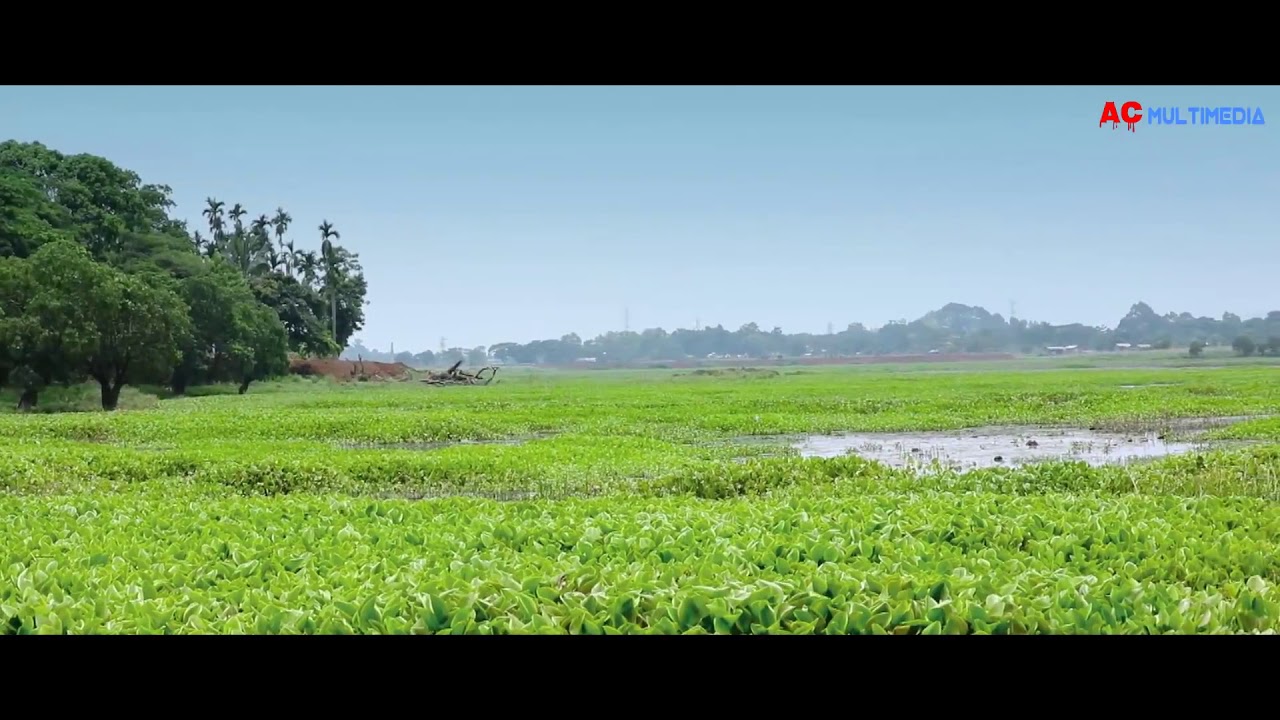 Jakoiya Suwali By Karabi Priyanshi   Full Video 2018   New Assamese Song  1080 X 1920 