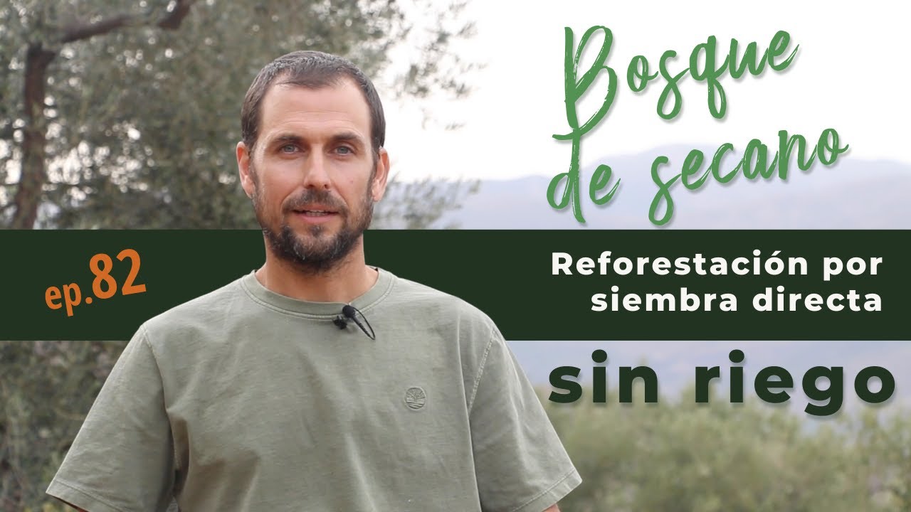 EP82 Reforestacion por siembra directa sin riego de Upper Shambhala