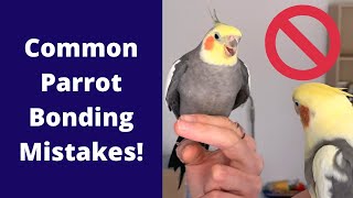 Common Parrot Bonding Mistakes | TheParrotTeacher