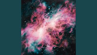 Stellar Winds